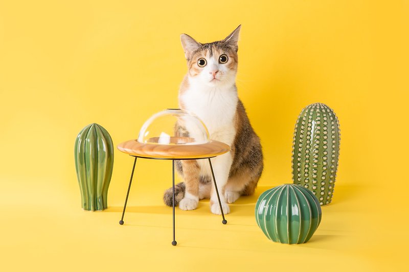 ไม้ ชามอาหารสัตว์ - Elevated Cat Feeder, Pet bowl | Outerspace | MYZOO