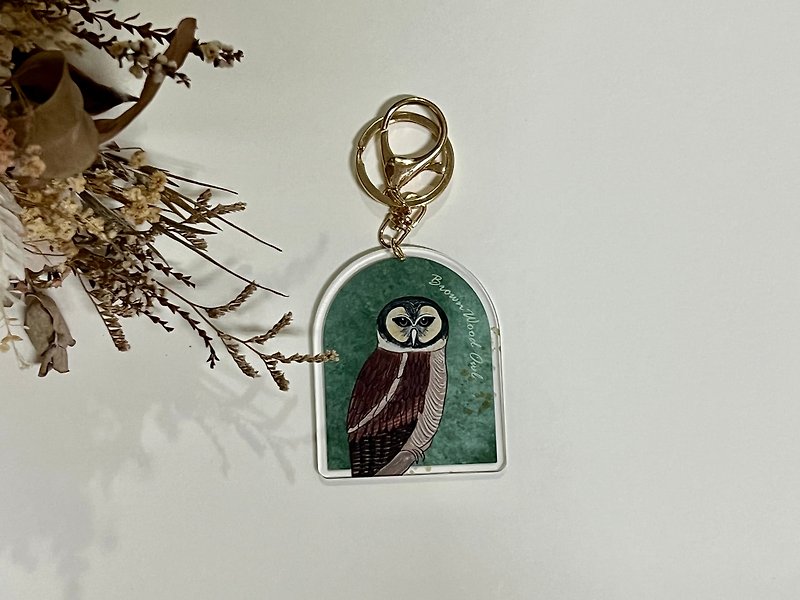 Taiwan Owl Acrylic Keychain-Brown Wood Owl - ที่ห้อยกุญแจ - พลาสติก หลากหลายสี