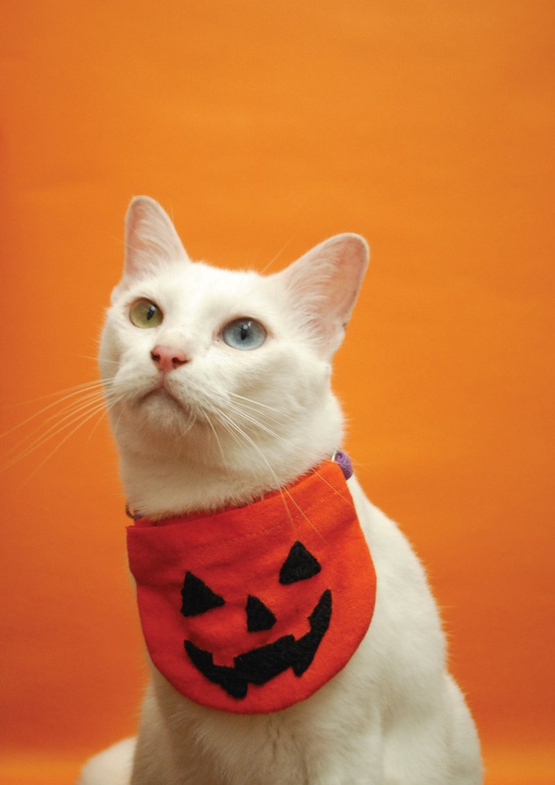Halloween Collection PUMPKIN - 項圈/牽繩 - 棉．麻 紅色