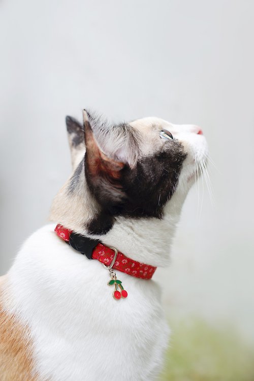 Purrcraft Secret Garden breakaway cat collar : Red with Cherry charm (Add-on)