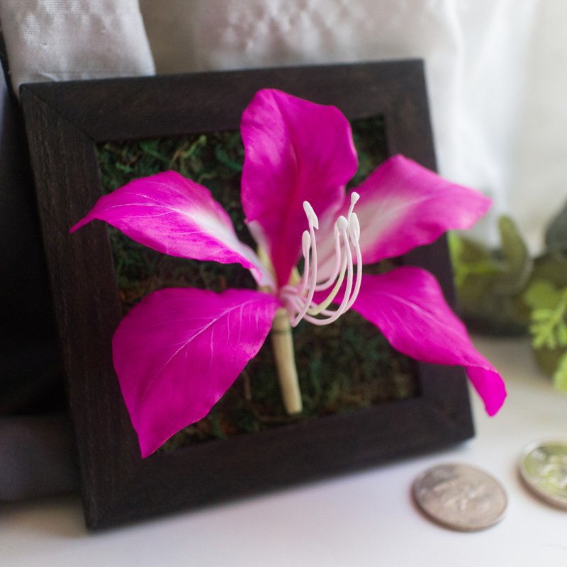 洋紫荊花 連畫框 - 訂製 香港 禮物 記念 黏土永生花 - 乾燥花/永生花 - 黏土 紫色