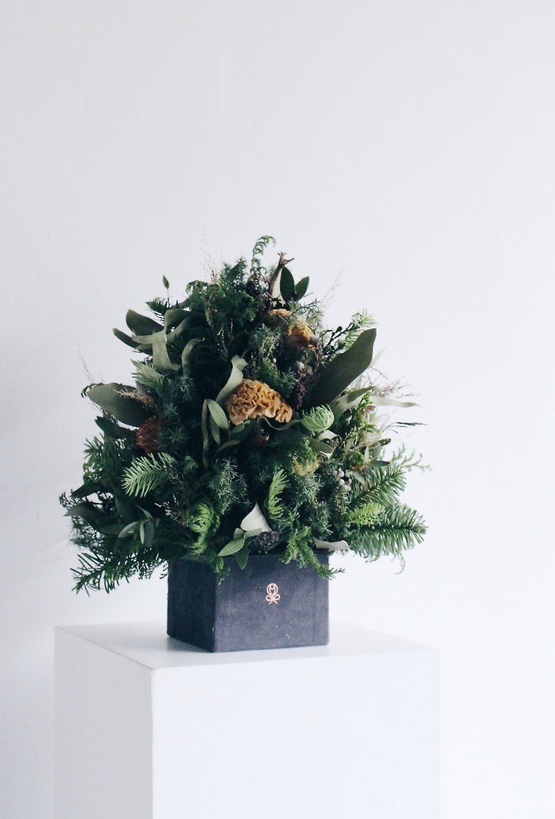 クリスマスツリー[森の平和 - パン]ドライクリスマスツリークリスマスツリースペースアレンジメント - 観葉植物 - 寄せ植え・花 