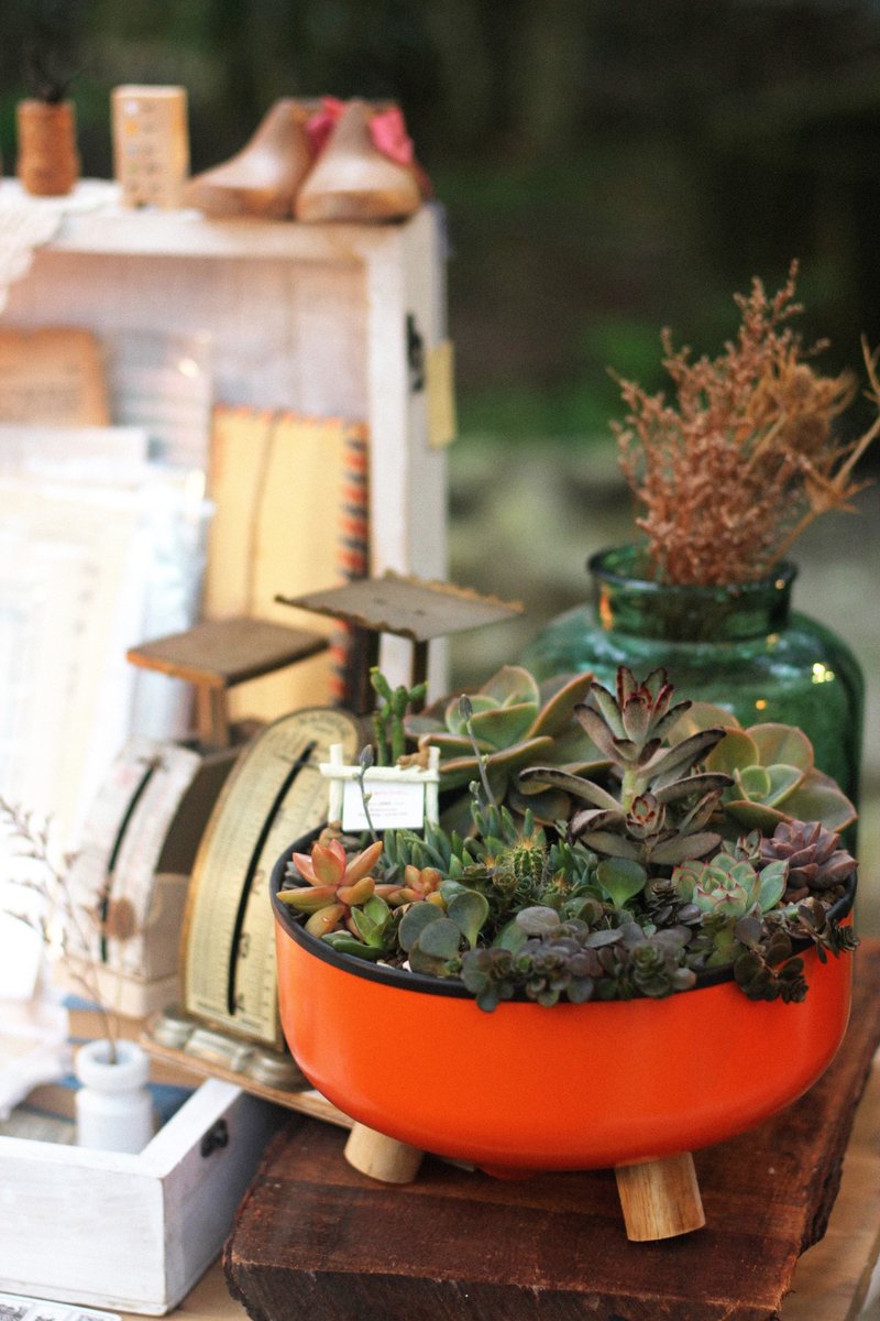 Industrial wind pots, flower pots, potted plants, succulent gardening, creative home space, commercial space - ตกแต่งต้นไม้ - โลหะ 