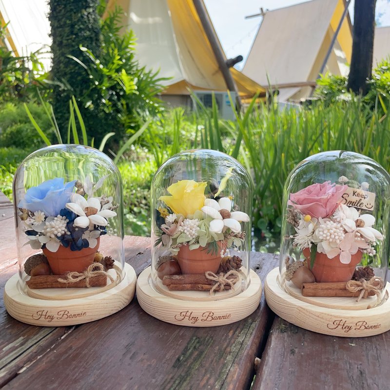 Urgent order Seeds of Courage Eternal Rose Glass Cover Teacher’s Day Gift Graduation Day Gift - Dried Flowers & Bouquets - Plants & Flowers Multicolor