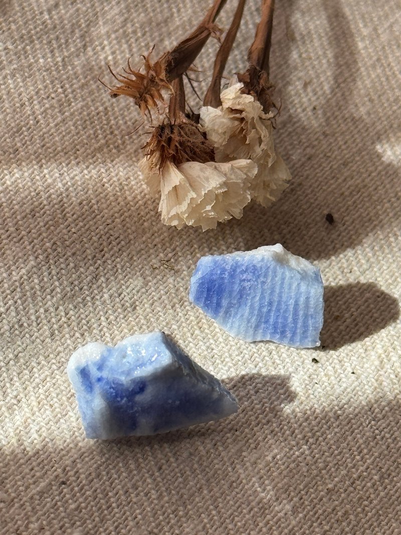 鈷藍瓷耳環 - 耳環/耳夾/耳骨夾 - 陶 多色