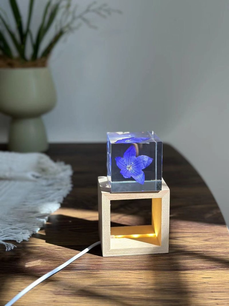 真花 \乾燥花 客製中華橘梗不凋花樹脂立方夜燈 - 擺飾/家飾品 - 樹脂 藍色