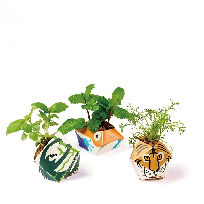 German origami potted plant set - Bengal tiger, sloth, golden poison dart frog - จัดดอกไม้/ต้นไม้ - วัสดุอีโค 