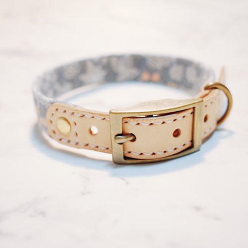 Aesthetic Dog Collar 