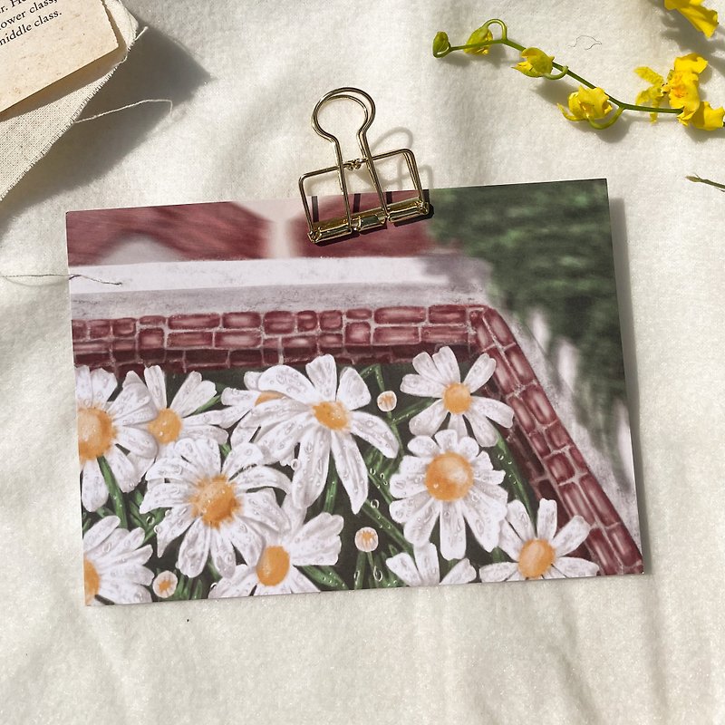 Daisy's choice - Cards & Postcards - Paper 