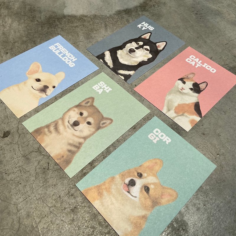 | Pet Series | Postcards/A total of 6 styles - การ์ด/โปสการ์ด - กระดาษ หลากหลายสี