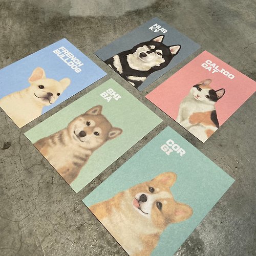 原印臺南 | 寵物系列 | 明信片/共6款