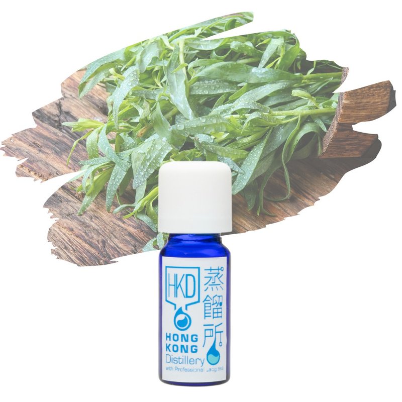 Artemisia Argyi Essential Oil - น้ำหอม - น้ำมันหอม สีใส