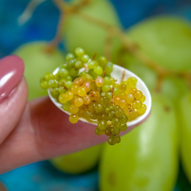 TUTORIAL Miniature grape with polymer clay | Digital product | PDF + video - 線上教學/教學影片 - 其他材質 