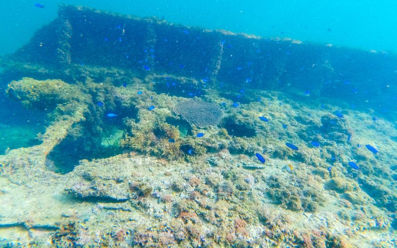 基隆望海巷SUP 浮潛賞魚訪沉船 (假日) - 戶外/室內活動 - 其他材質 