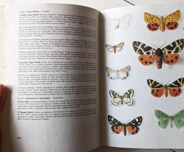 Urania 動物・植物百科事典 全8巻セット Yahoo!オークション - 34―038 図鑑セット 小学館 学習百科