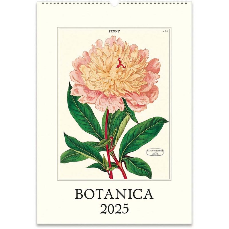 Cavallini & Co. 2025 Annual Calendar/Wall Calendar_Botany - ปฏิทิน - กระดาษ หลากหลายสี