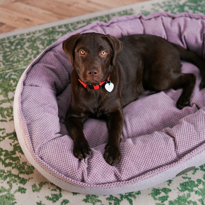 Large dog bed Donut Pink XL Size 110x80 cm Cuddler dog bed Shop