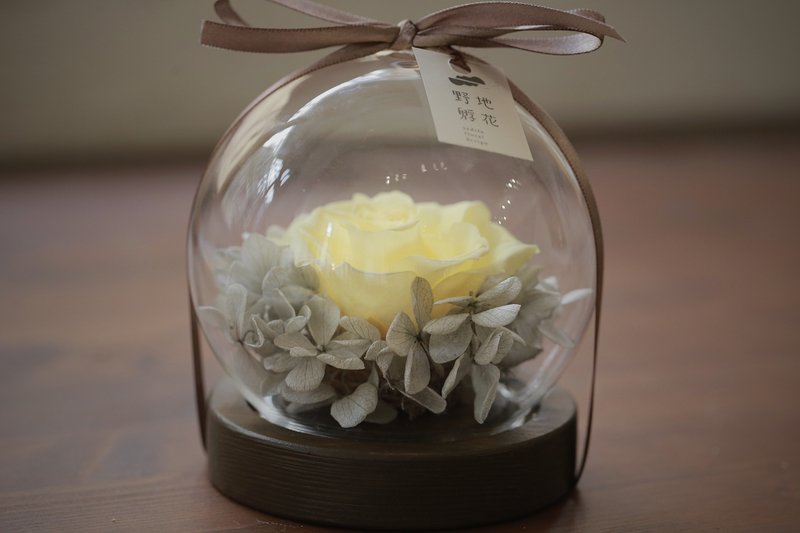 銀月•日本永生花 玻璃花盅(小) /客製化 / 祝福花禮 野地孵花 - 乾燥花/永生花 - 植物．花 黃色