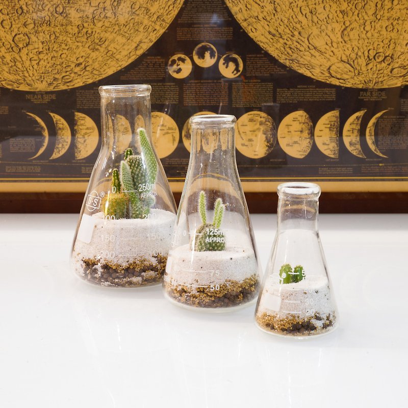 Micro view of beaker - Plants & Floral Arrangement - Glass Green