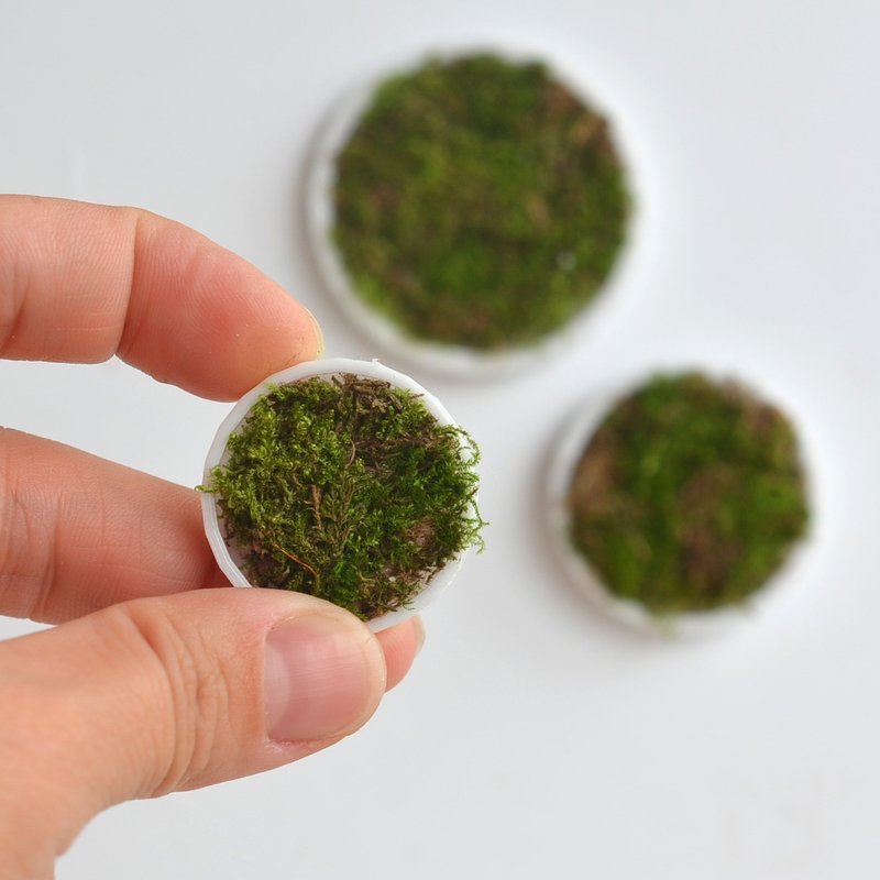 Miniature wall decoration moss for dolls 1/12, 1/8, 1/6 Scale - ตุ๊กตา - พลาสติก ขาว