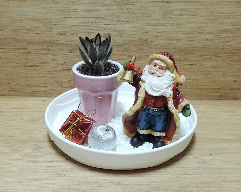 Happy Christmas Party Succulents Xmas Gifts - Plants - Other Materials 