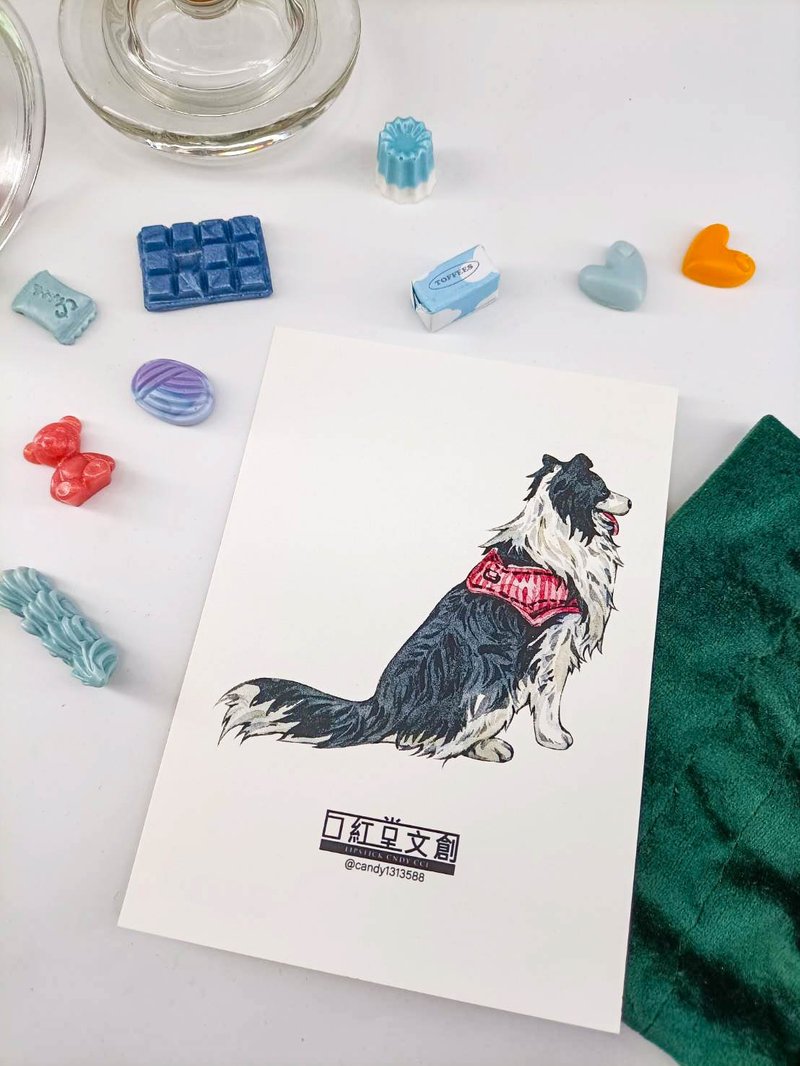 KR474_口紅堂明信片_邊境牧羊犬4_candy1313588 postcard - 卡片/明信片 - 紙 多色