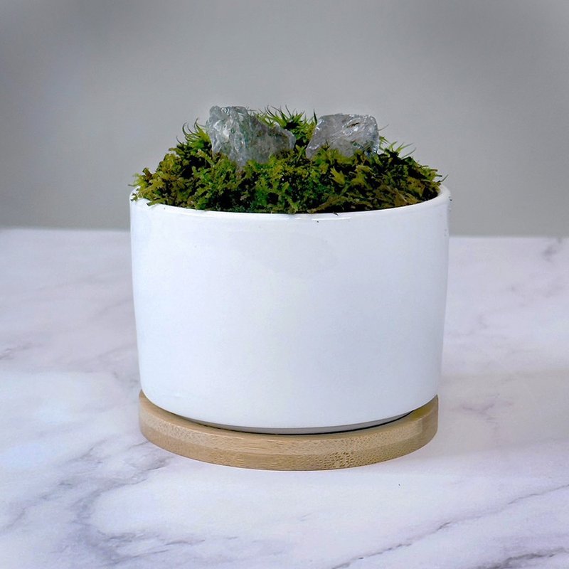 全客製化設計 – 靈石苔蘚盆栽 / 白水晶 - 盆栽/植栽 - 植物．花 