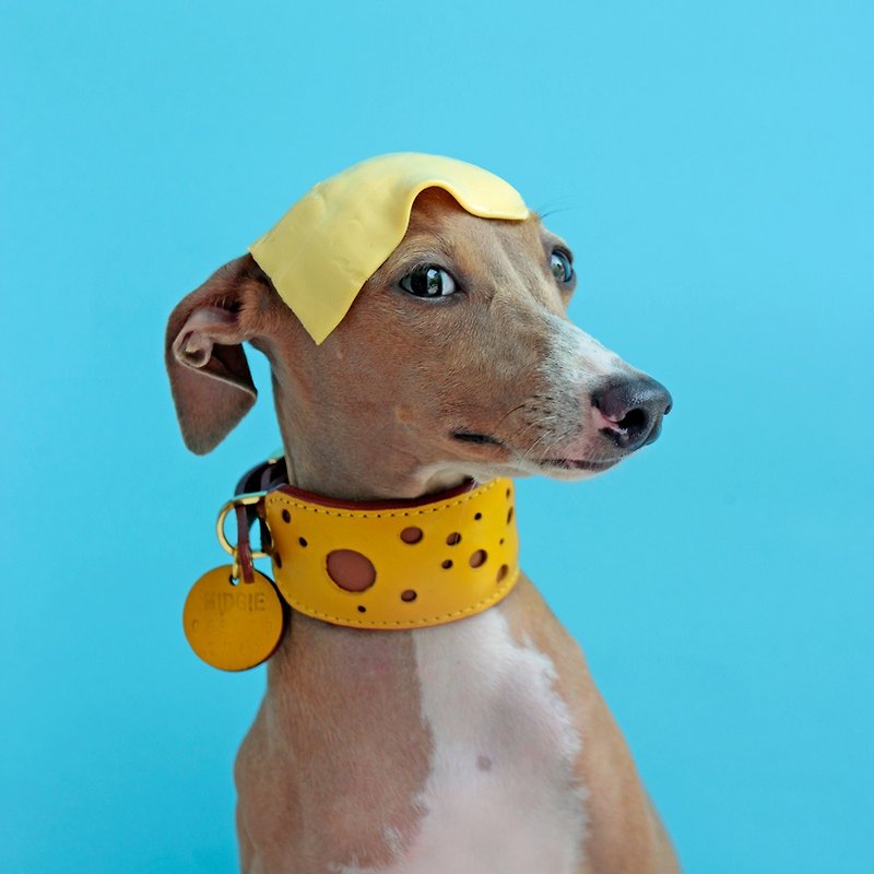 Mr.&Mrs.Sniff Cheese Collection - Collars & Leashes - Genuine Leather Yellow