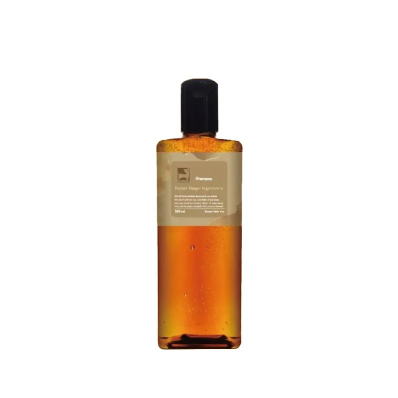 Ginger Hydrosol Shampoo 360ml - Shampoos - Concentrate & Extracts 