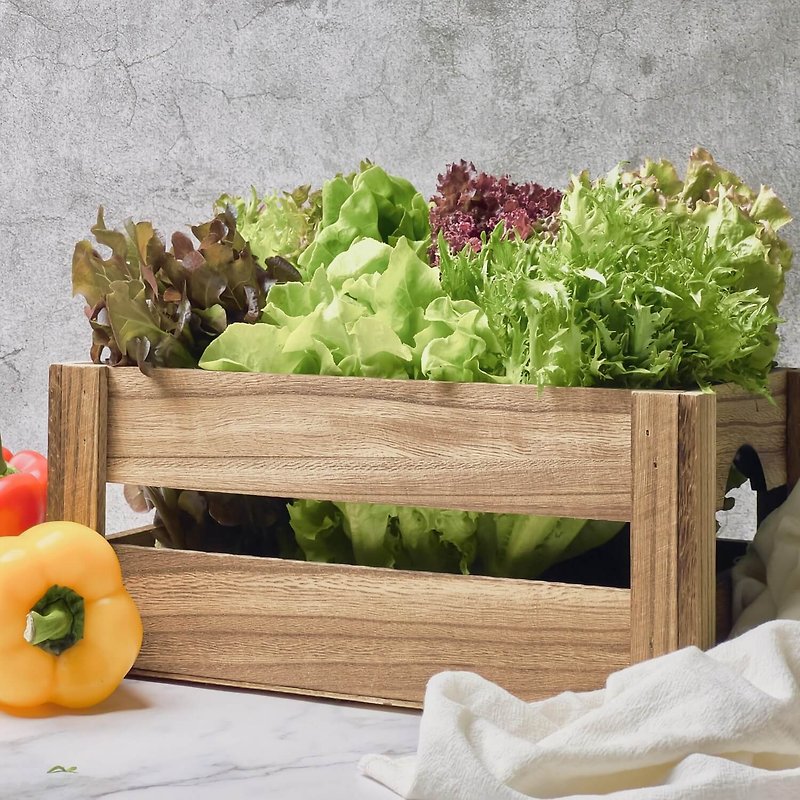 【Danyun Hydroponic Lettuce】Comprehensive lettuce box 600g, lettuce, salad, lettuce, hydroponic vegetables - Other - Fresh Ingredients 