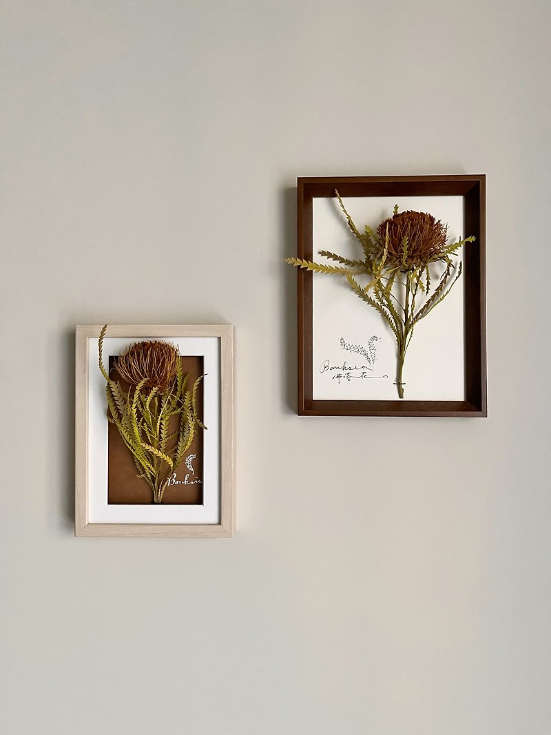 Natural dried flower & plant frame∣Banksia flower - Items for Display - Plants & Flowers 