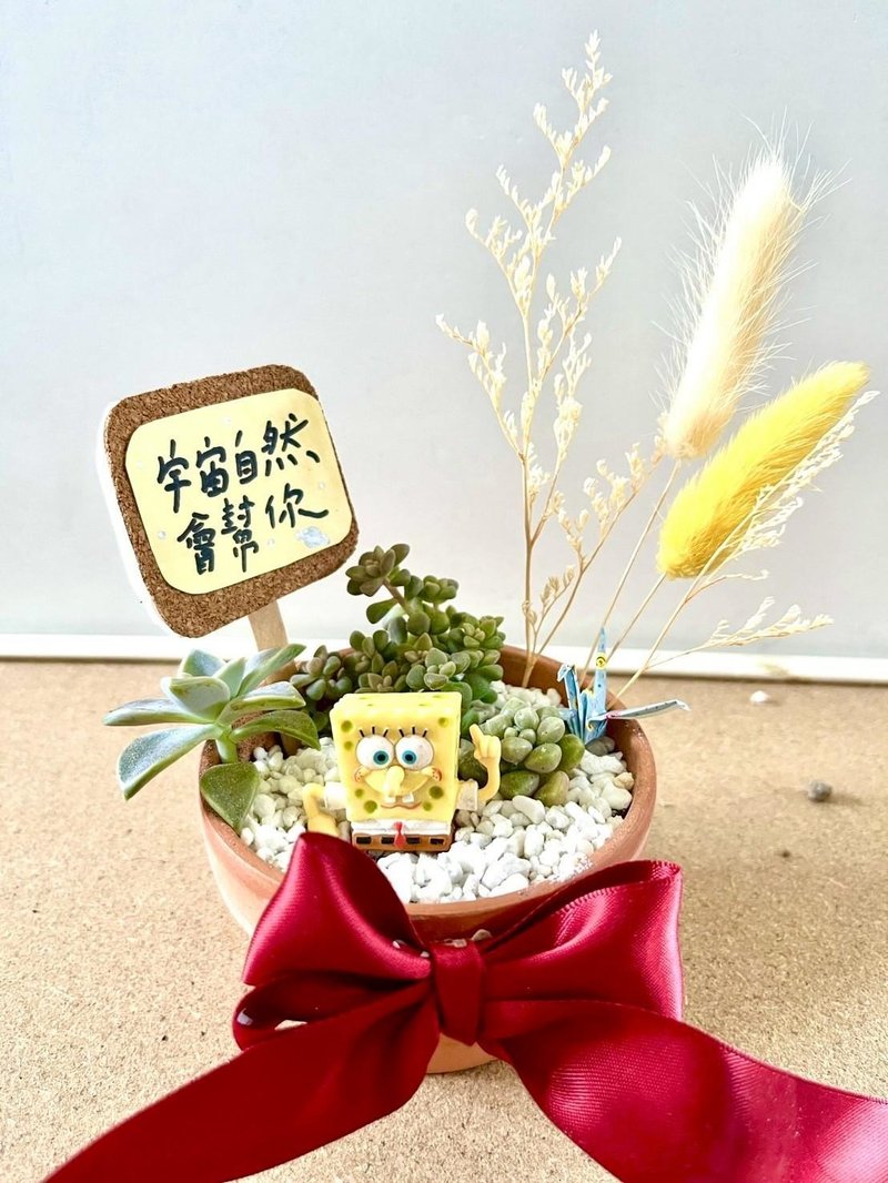 海綿寶寶 台中 多肉盆栽 生日送禮 多肉植物 仙人掌 日式枯山水 - 盆栽/植栽 - 植物．花 綠色