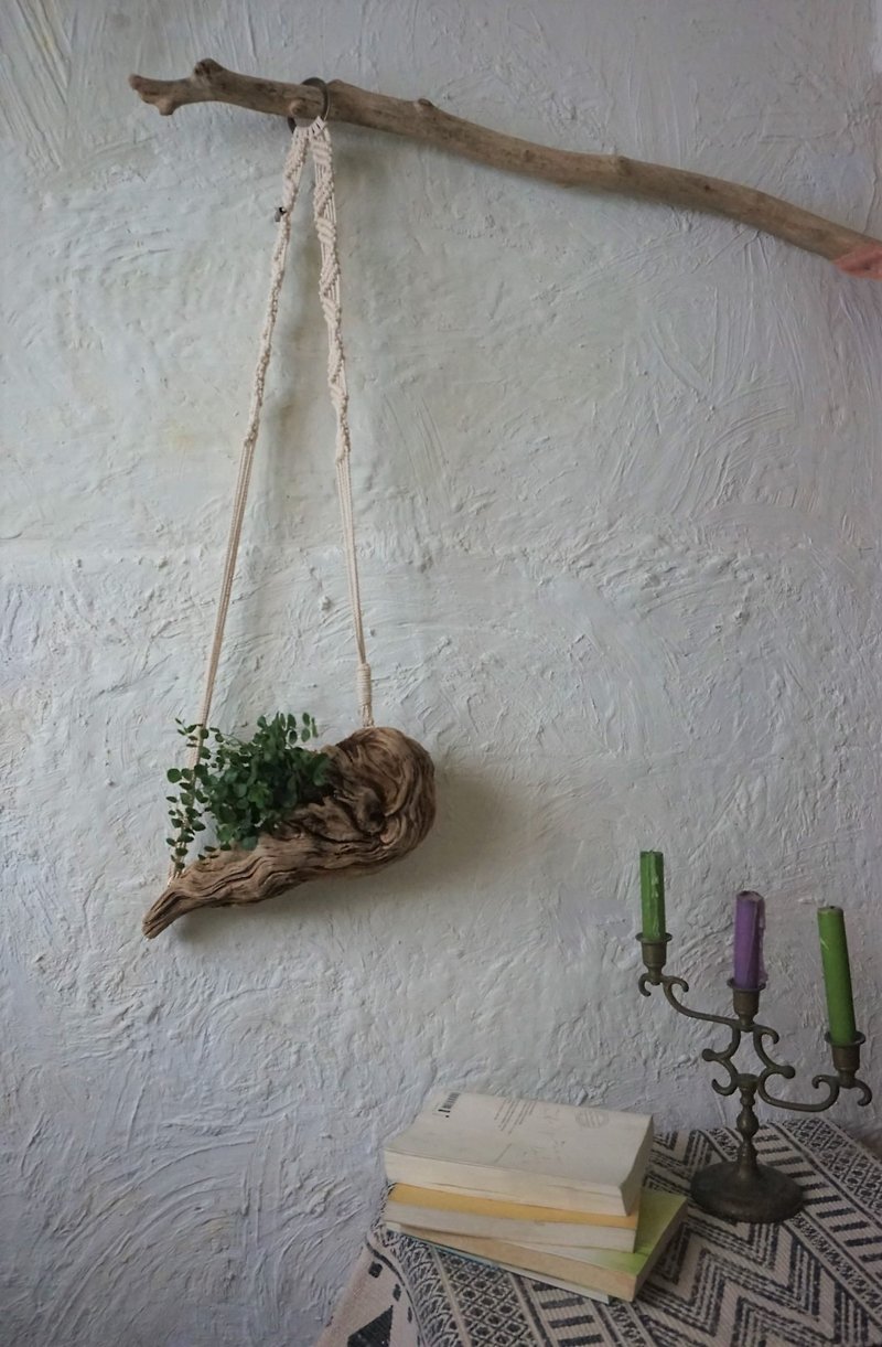 Flow series woven driftwood literary and artistic planting (including button fern plant) only this one piece of three-line color - Plants - Wood White