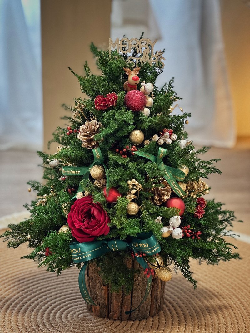 [Class for one person] Crimson and golden eternal Christmas tree hand-making class - Plants & Floral Arrangement - Plants & Flowers 