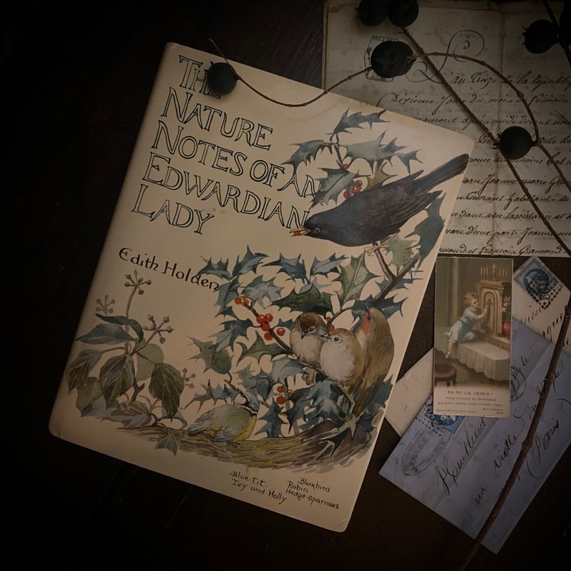 The Nature Notes of an Edwardian Lady/Edwardian Nature Notes - Indie Press - Paper 