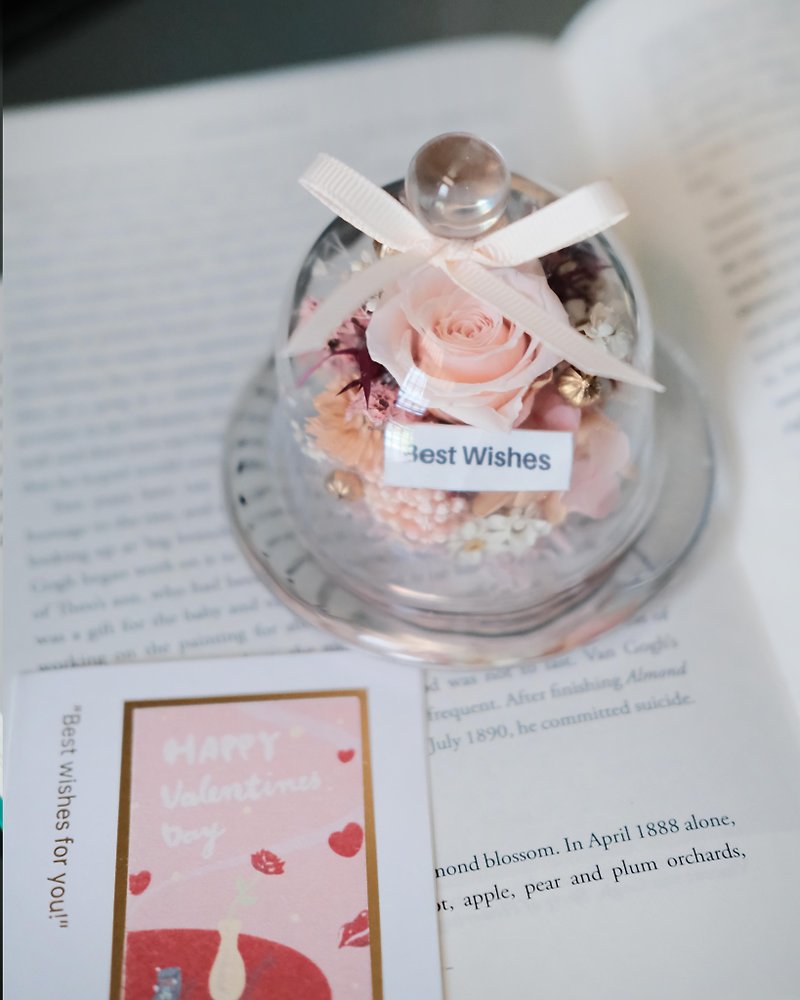 Mother's Day Dried Flowers/Everlasting Flowers Glass Cup Pearl Nude Powder/Birthday Gift/ - ตกแต่งต้นไม้ - พืช/ดอกไม้ 
