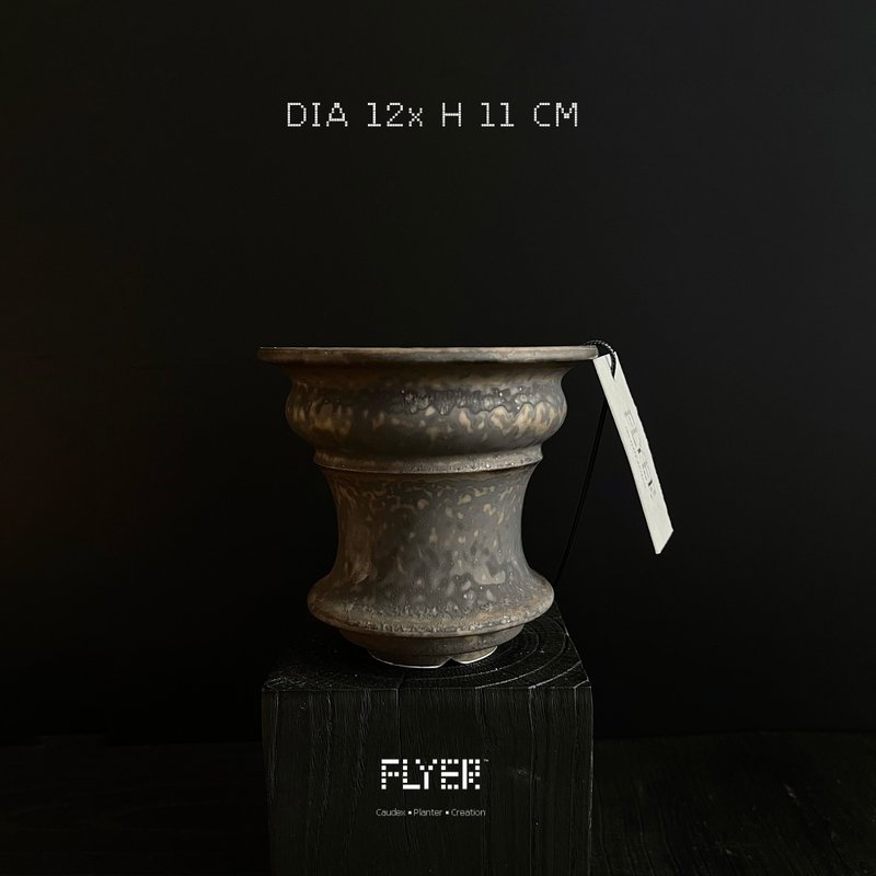 FLYER 塊根多肉植物陶盆器 龍舌蘭象牙宮象足漆樹盆器 - 花瓶/花器 - 陶 