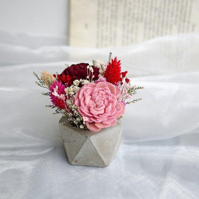 伊登花室 紅粉太陽玫瑰 乾燥水泥桌花 - 乾燥花/永生花 - 植物．花 紅色