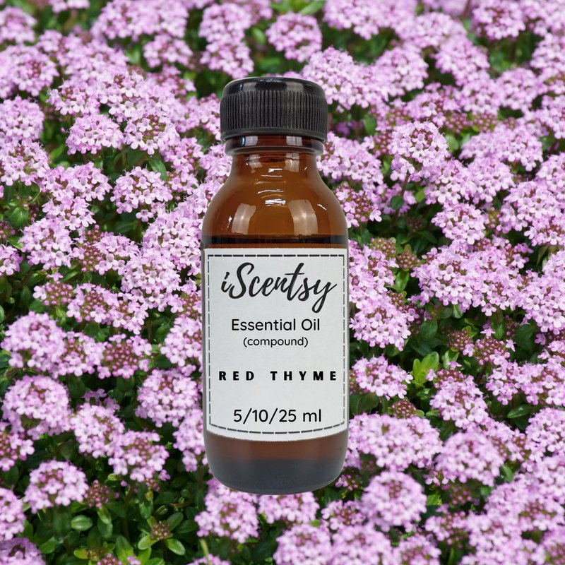 Thai Pure & Natural Essential Oil: Red Thyme Essential Oil 100% - 香氛/精油/擴香 - 其他材質 
