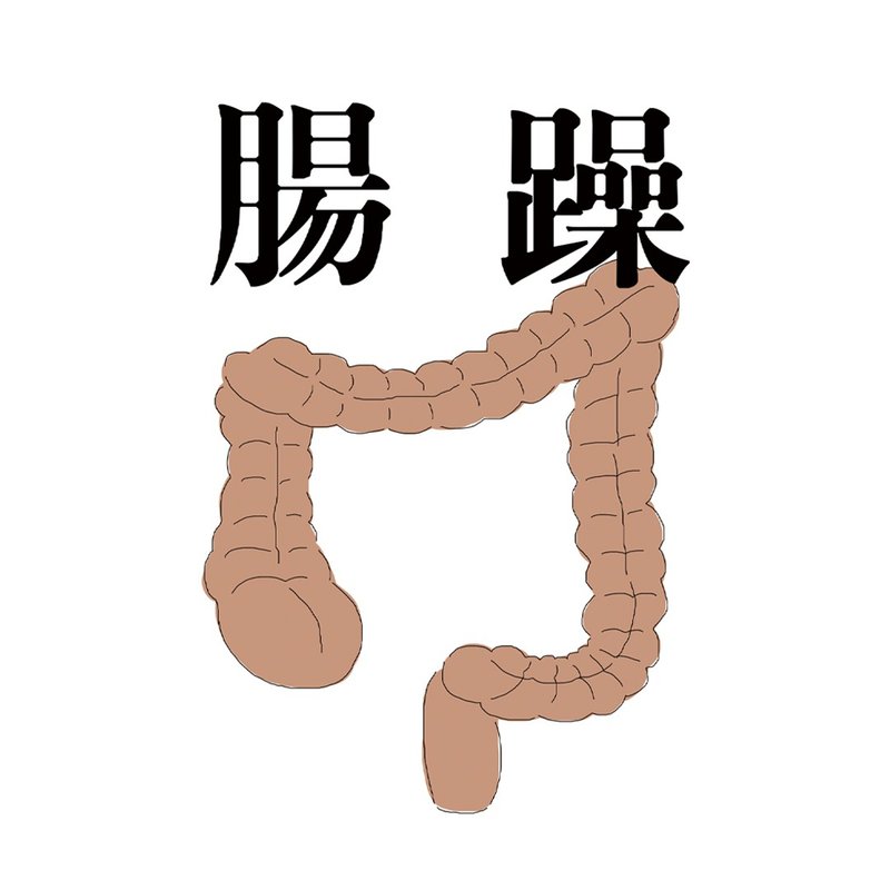 腸躁 T - Shirt - 女 T 恤 - 棉．麻 多色