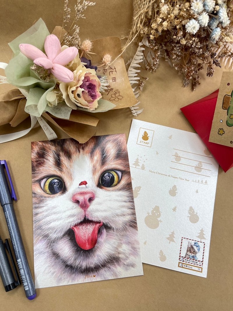 \ Fake Cat Lover Series/LOOK Christmas Blessings Postcard - Cards & Postcards - Paper 