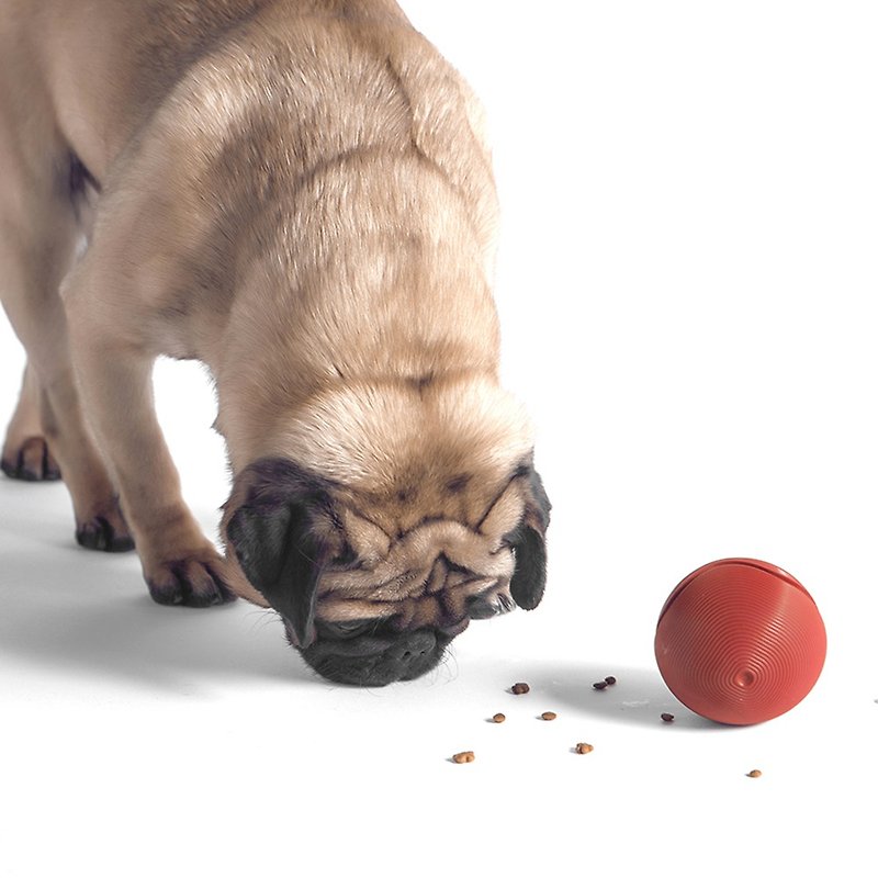 犬のおもちゃ犬の漏れやすいフードボールポップ中小犬噛みにくい耐久性のある教育玩具 - おもちゃ - シリコン ブルー