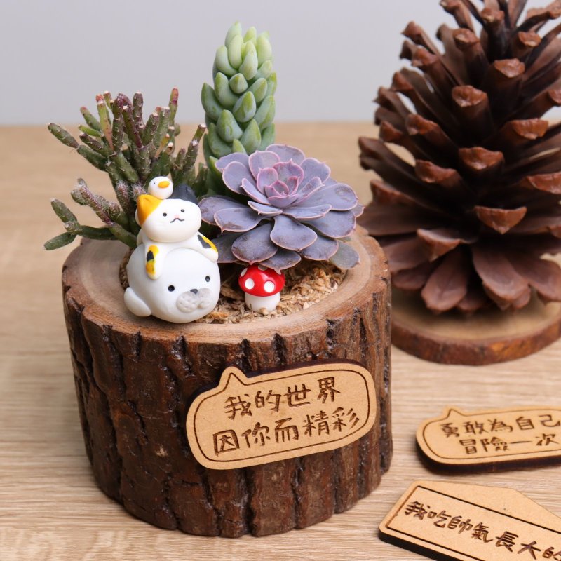 Three small dumplings succulents potted plant name plate customization | Birthday, resignation, Christmas gift exchange, flower gift - ตกแต่งต้นไม้ - ไม้ หลากหลายสี