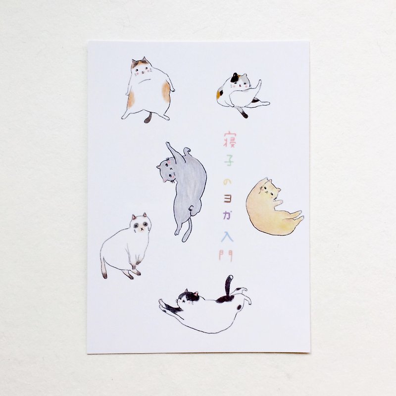 猫のヨガエントリーポストカード - カード・はがき - 紙 ホワイト