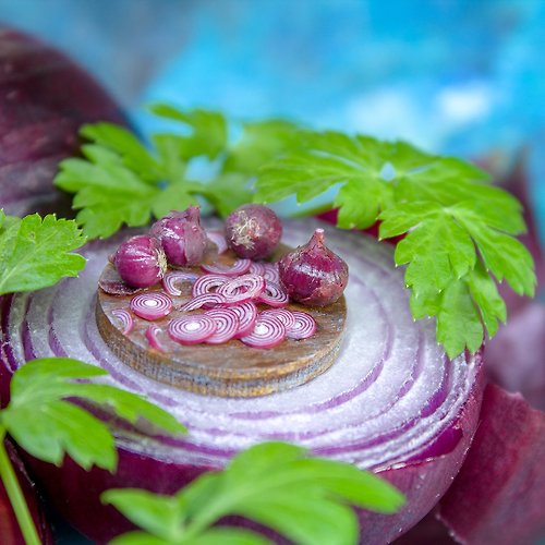 Rina Vellichor Miniatures TUTORIAL Miniature red onion with polymer clay | PDF + video