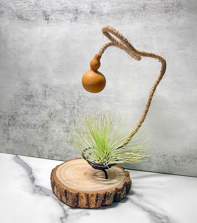 【Driftwood】Table Lamp | Air Pineapple. Air Tillandsia|Environmental Gifts - ตกแต่งต้นไม้ - ไม้ สีนำ้ตาล