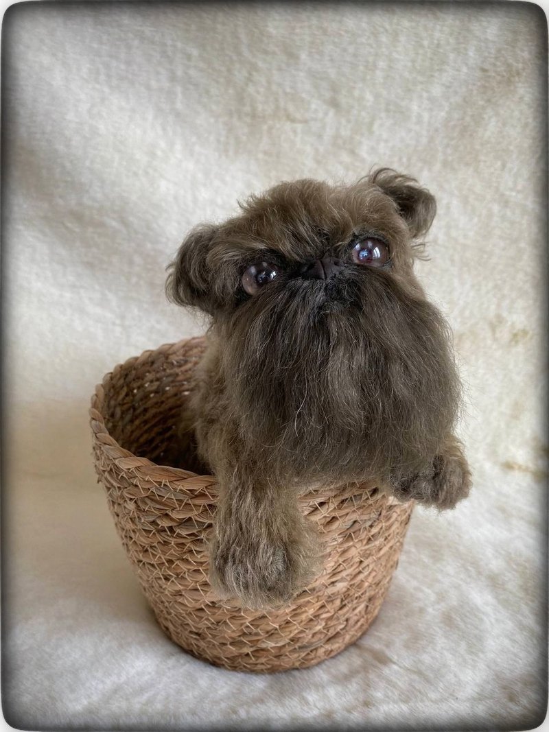 Griffon puppy,  realistic dog made of mohair. - 玩偶/公仔 - 其他材質 咖啡色