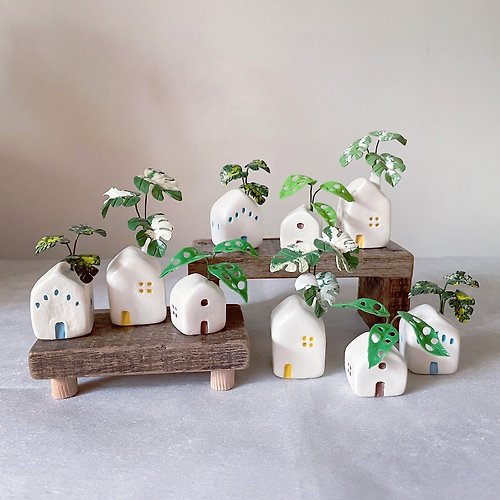 Una Sofa Handmade 優娜舒發手感小物 屋頂上的龜背芋 三入組。仿真黏土觀葉植物