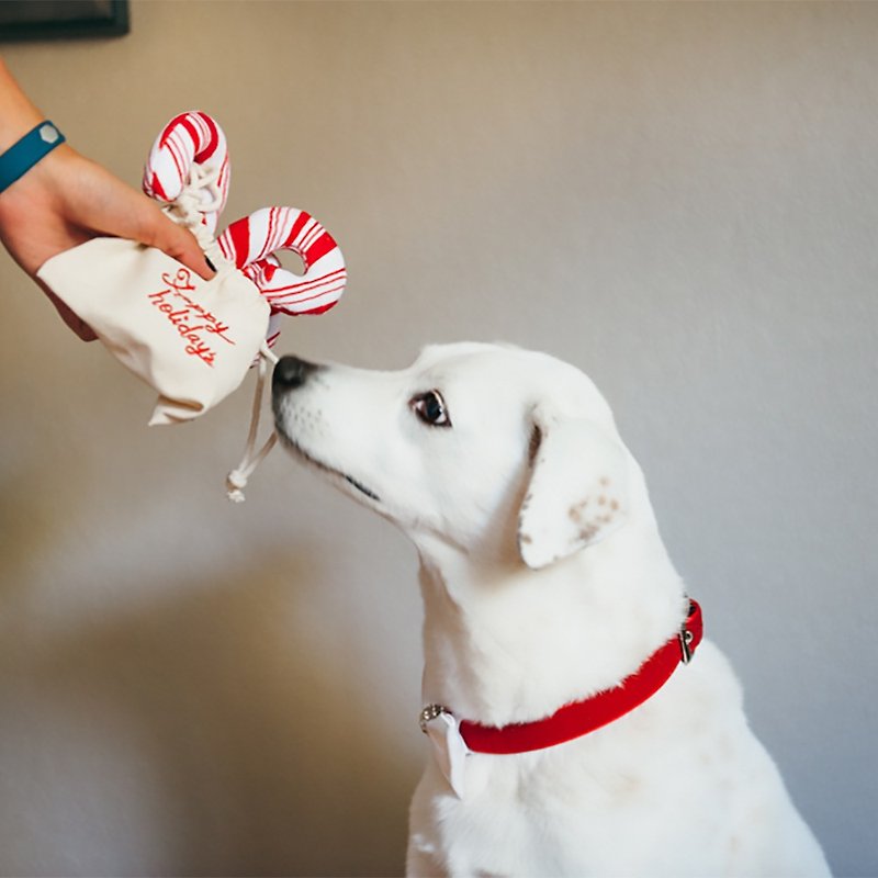 ペット おもちゃ 犬 クリスマス ディナー キャンディ ケーン さえずり - おもちゃ - サステナブル素材 