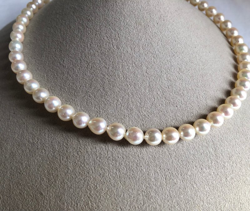 Akoya pearl  necklace sea pearl K14 - Necklaces - Pearl White